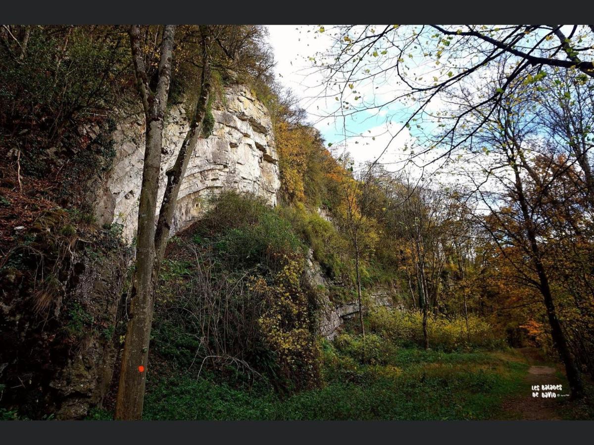 Enjoy Durbuy 2 Exterior foto